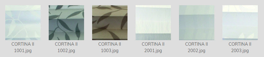 pli-Cortina II